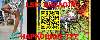 индика Пенза