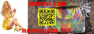 индика Пенза