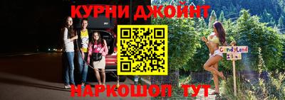 индика Пенза