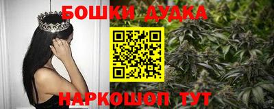 индика Пенза