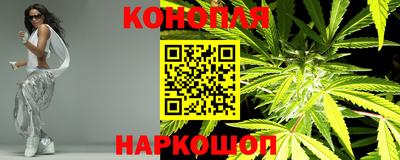 индика Пенза