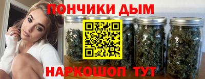 индика Пенза