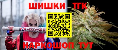 индика Пенза