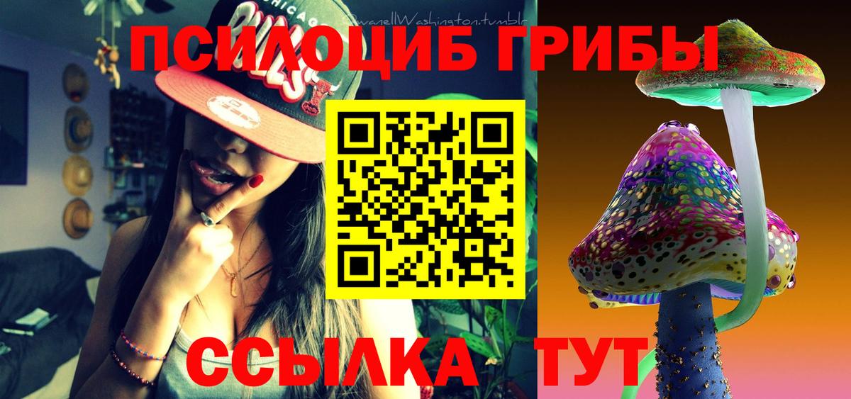 что такое наркотик  Вход с VPN  Санкт-Петербург  Галлюциногенные грибы Psilocybe 